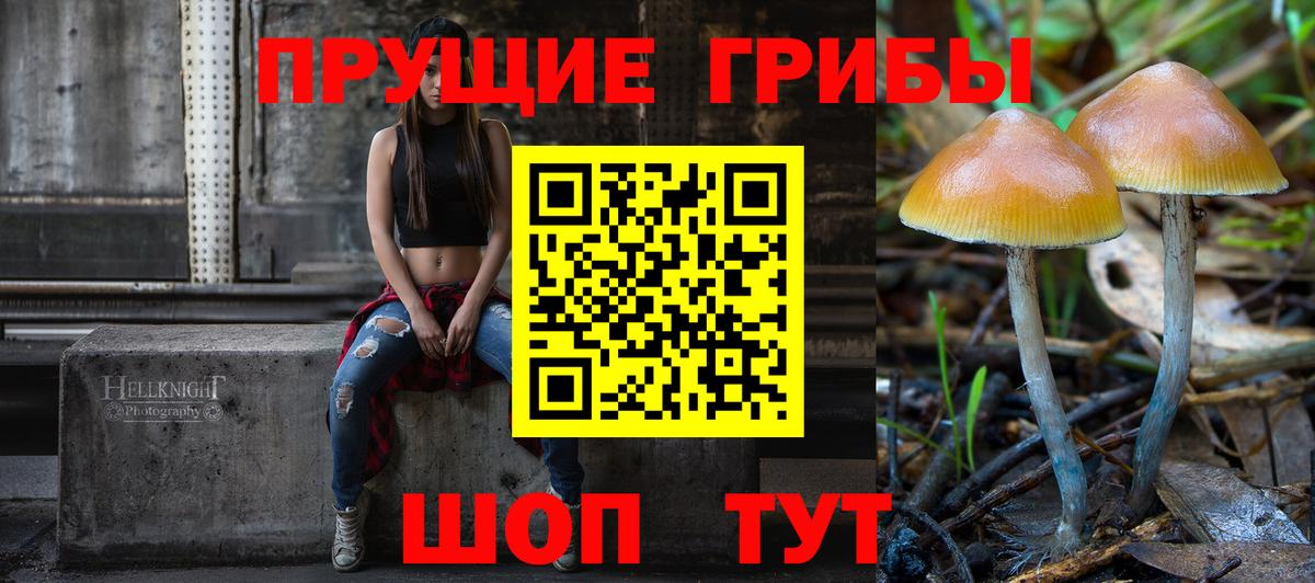 Псилоцибиновые грибы MAGIC MUSHROOMS Донской